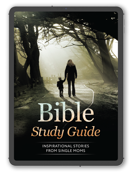 Heroes In Our Midst - Bible Study Guide