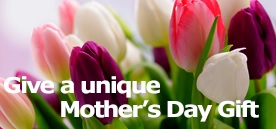 website promo pic- moms day cards  2013
